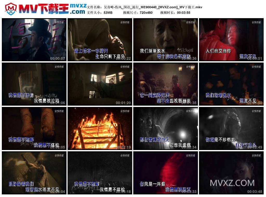 吴青峰-伤风_国语_流行_ME900440